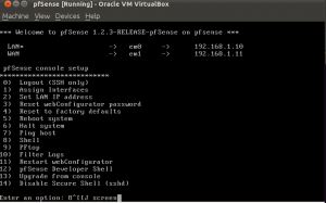 pfsense login terminal screen
